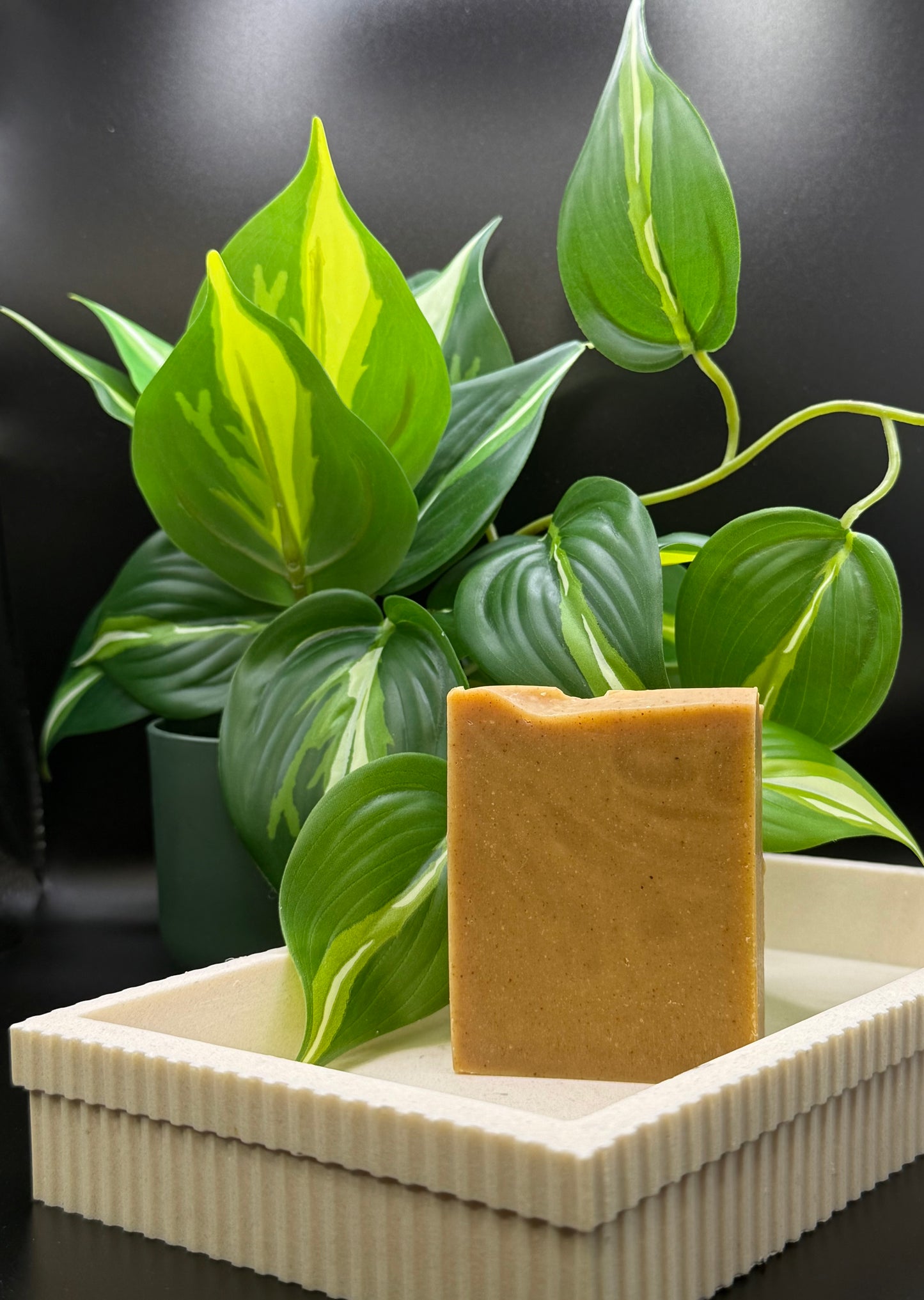 Turmeric Tea Tree Bar Soap