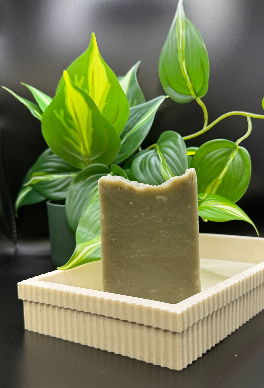 Sea Moss Bar Soap