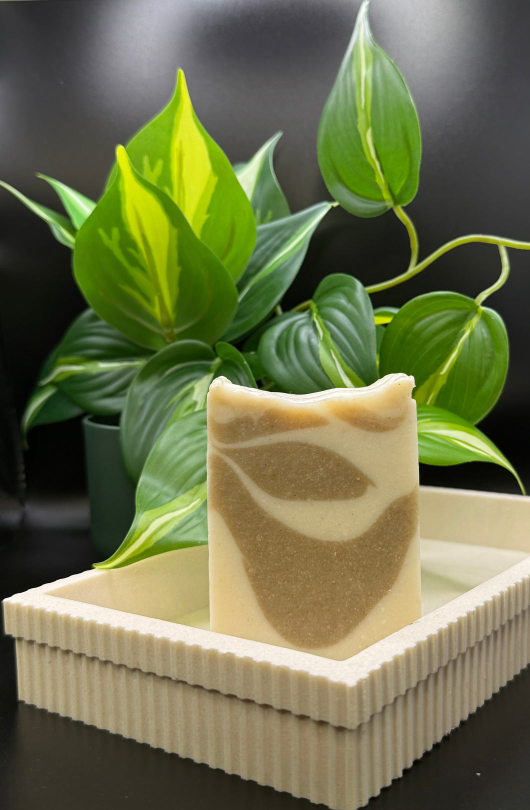 Eucalyptus Cotton Bar Soap