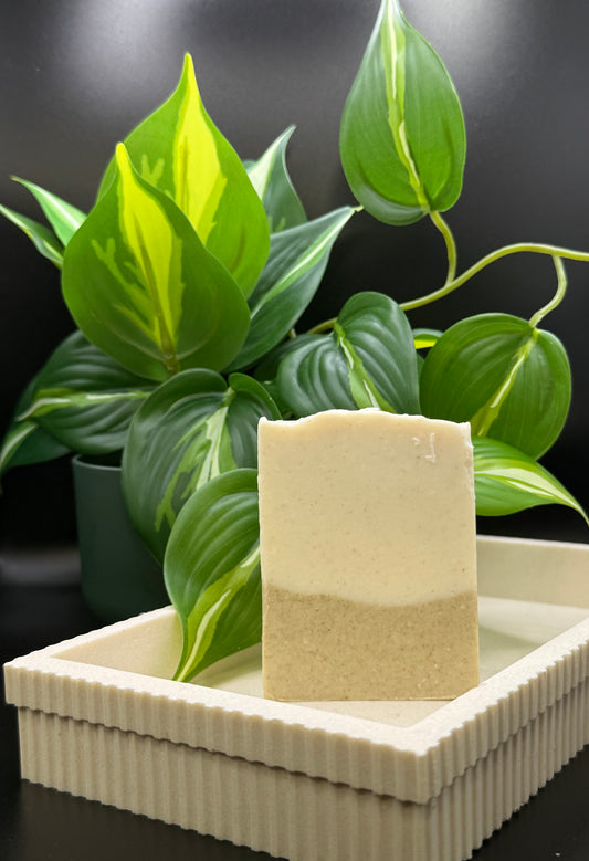 Eucalyptus Mint Bar Soap
